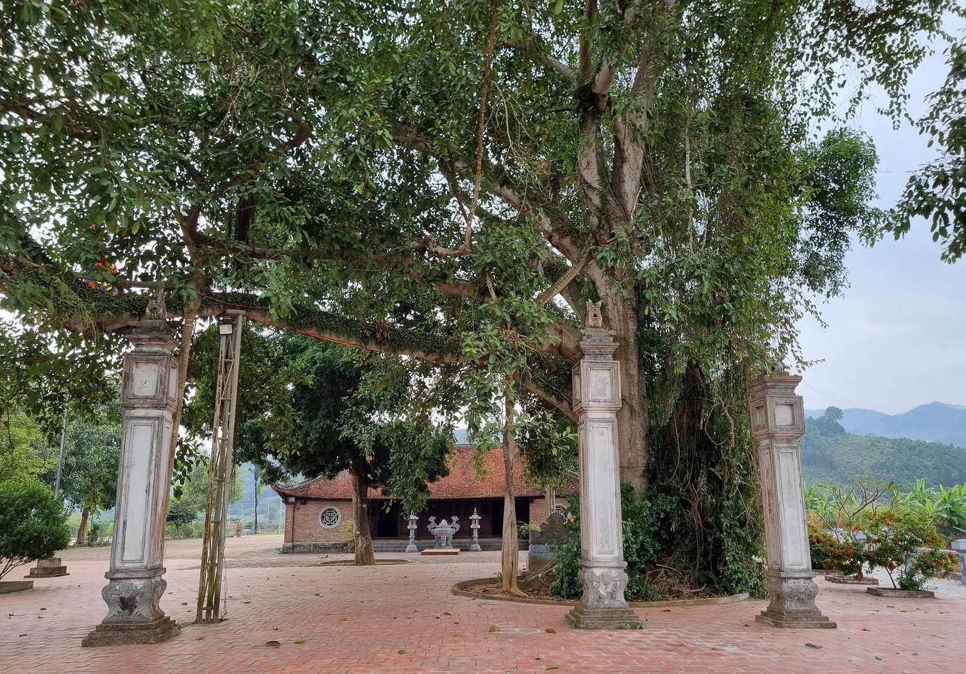 Đền Nhược Sơn 4.jpg